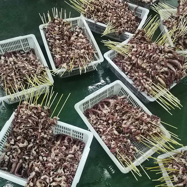 章鱼