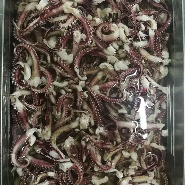 章鱼