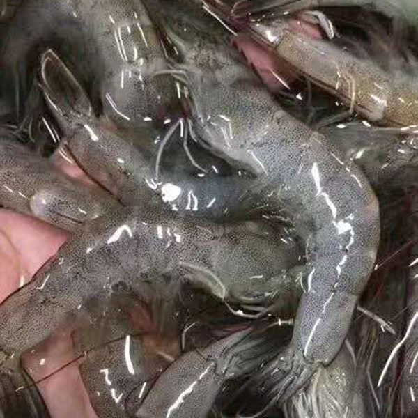 虾